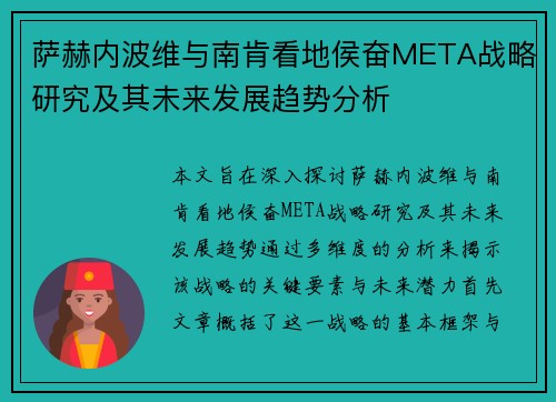 萨赫内波维与南肯看地侯奋META战略研究及其未来发展趋势分析