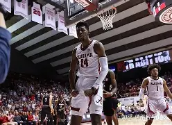 开云官方网站在线登陆-锡安复出首战鹈鹕与开拓者队比赛