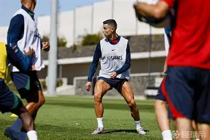 开云中国-广州去底特律40尺柜运费