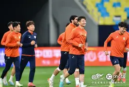 开云官方网站在线登陆-山东泰山对浙江队直播